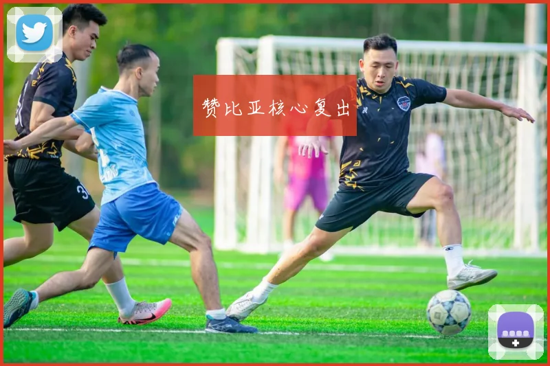 赞比亚核心复出