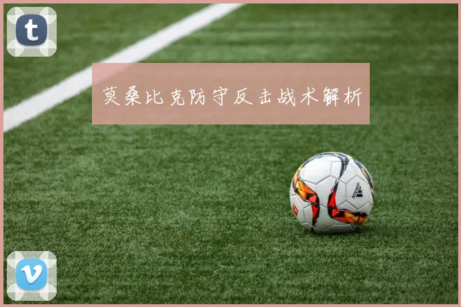 莫桑比克防守反击战术解析