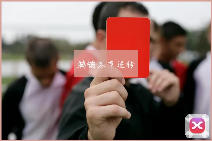鹈鹕末节逆转