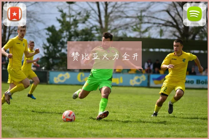 赞比亚火力全开