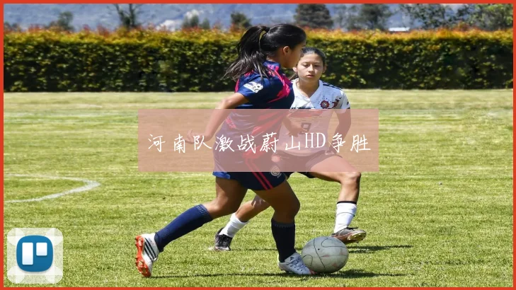 河南队激战蔚山HD争胜