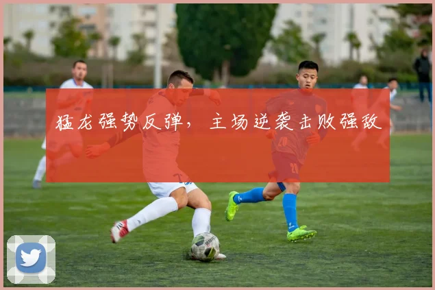 猛龙强势反弹，主场逆袭击败强敌