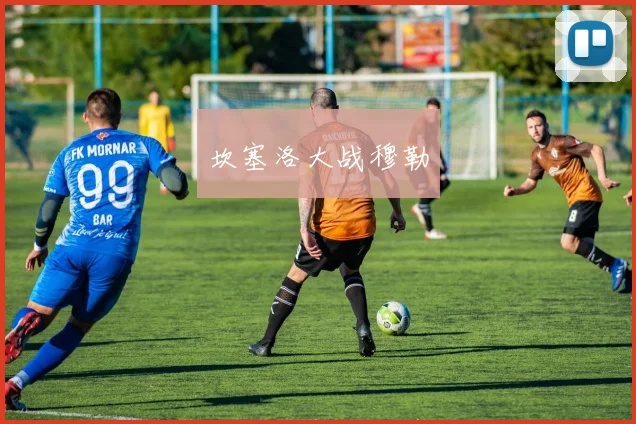 坎塞洛大战穆勒