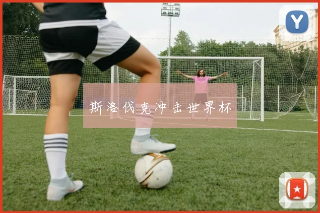 斯洛伐克冲击世界杯