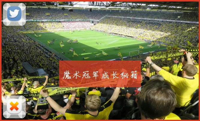 魔术冠军成长秘籍