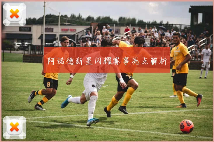 阿诺德新星闪耀赛事亮点解析