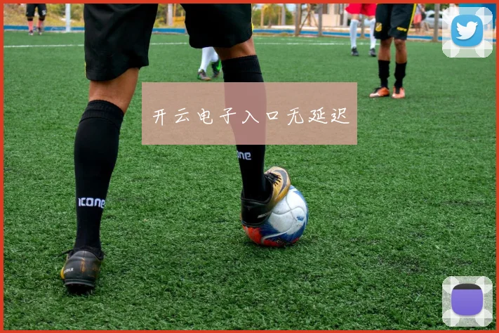 开云电子入口无延迟