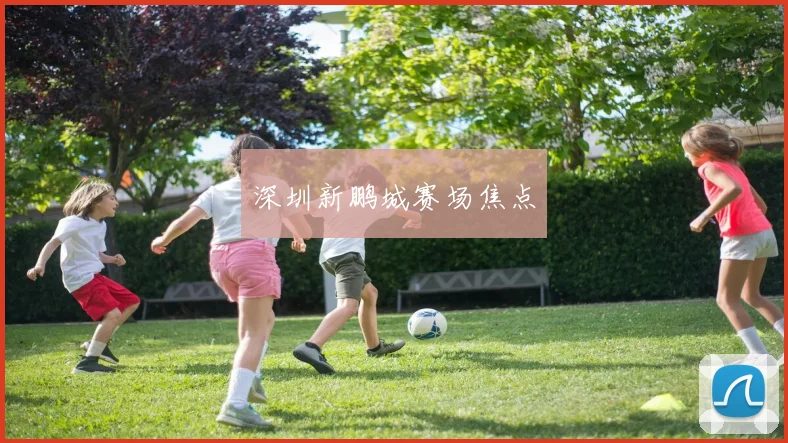 深圳新鹏城赛场焦点