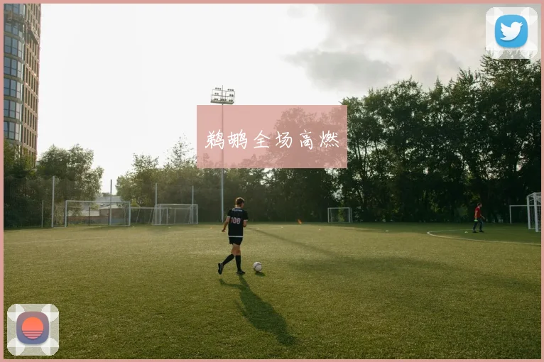 鹈鹕全场高燃