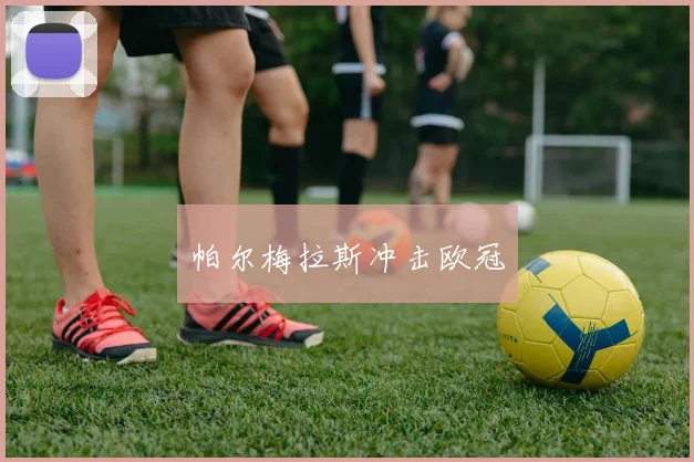 帕尔梅拉斯冲击欧冠