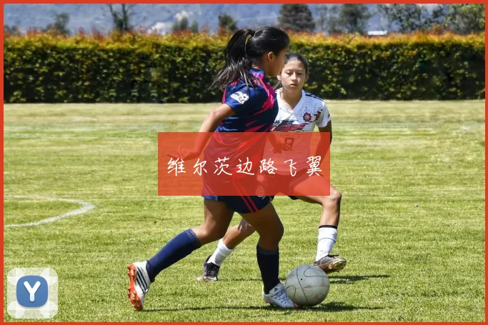 维尔茨边路飞翼