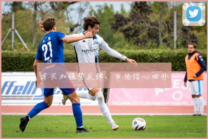 牙买加强势反弹，市场信心回升
