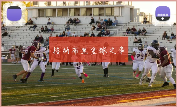 格纳布里金球之争