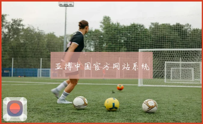 亚搏中国官方网站系统