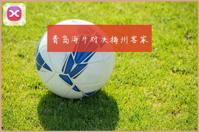 青岛海牛对决梅州客家