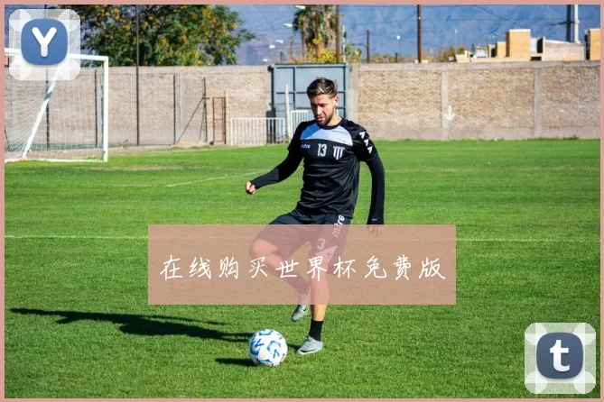 在线购买世界杯免费版