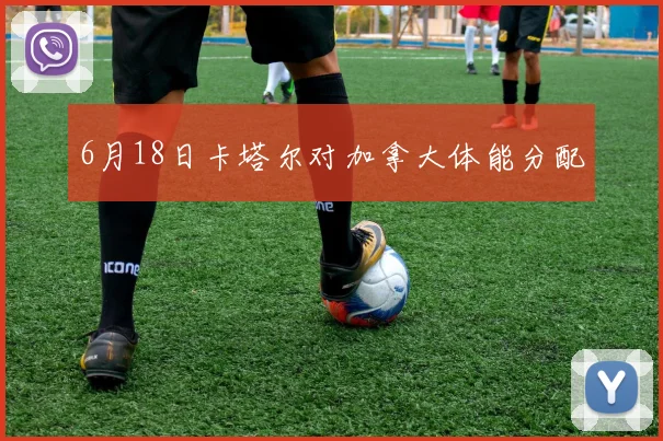 6月18日卡塔尔对加拿大体能分配