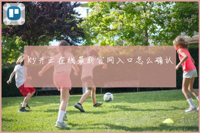 ky开云在线最新官网入口怎么确认