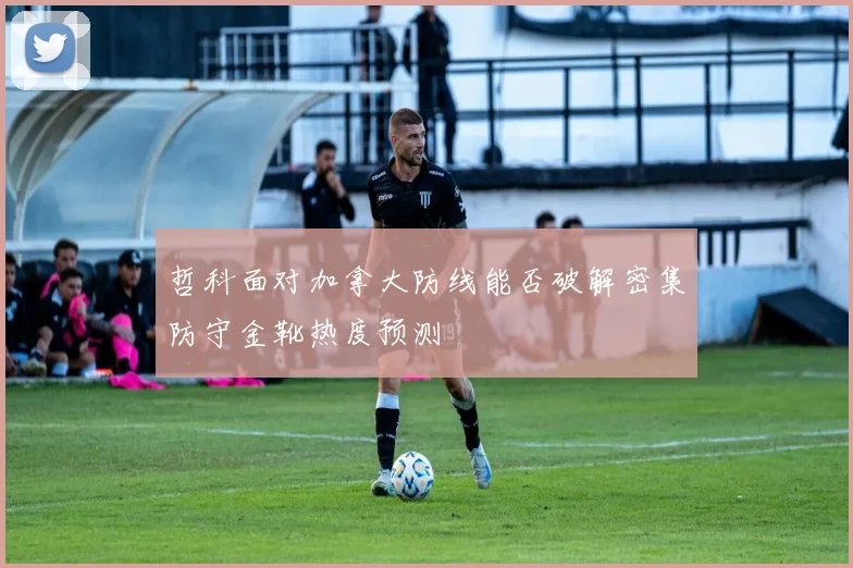 哲科面对加拿大防线能否破解密集防守金靴热度预测