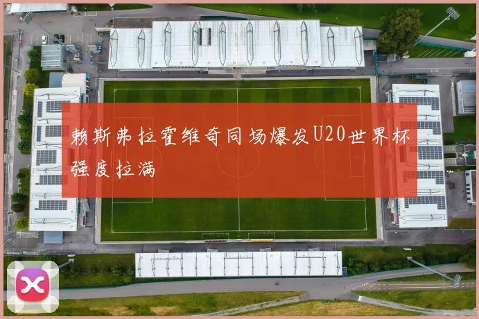 赖斯弗拉霍维奇同场爆发U20世界杯强度拉满